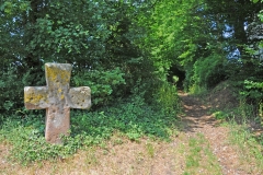 ROI_8246