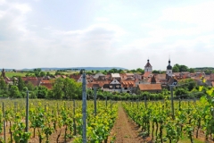 ROI_8269