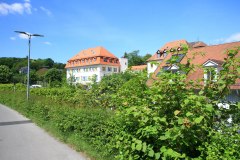 IMG_0010