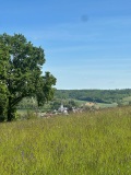 IMG_4710