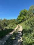 IMG_4715