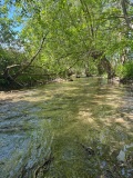 IMG_4730