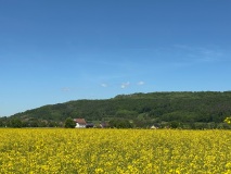 IMG_4736