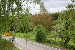 IMG_1414