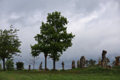 IMG_1419