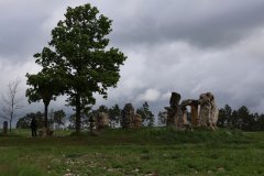 IMG_1421