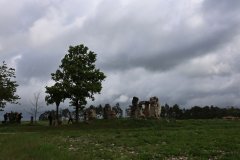 IMG_1422