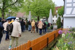 IMG_1555