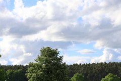 IMG_1664